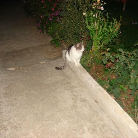 Filip 2 Hotel Biograd Na Moru Buitenkant foto