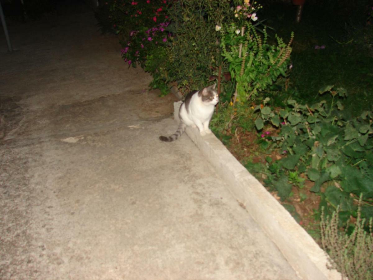 Filip 2 Hotel Biograd Na Moru Buitenkant foto